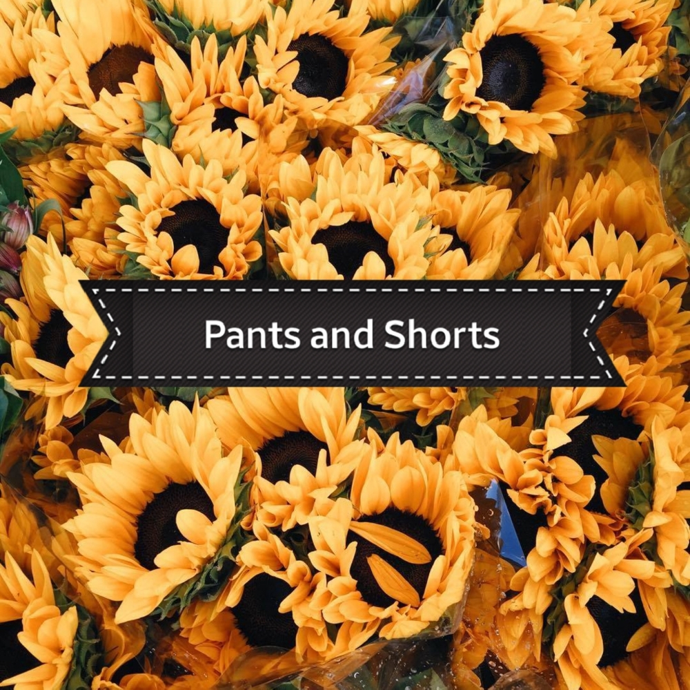 Pants and Shorts!